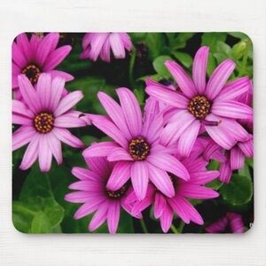 New mousepads purple Green